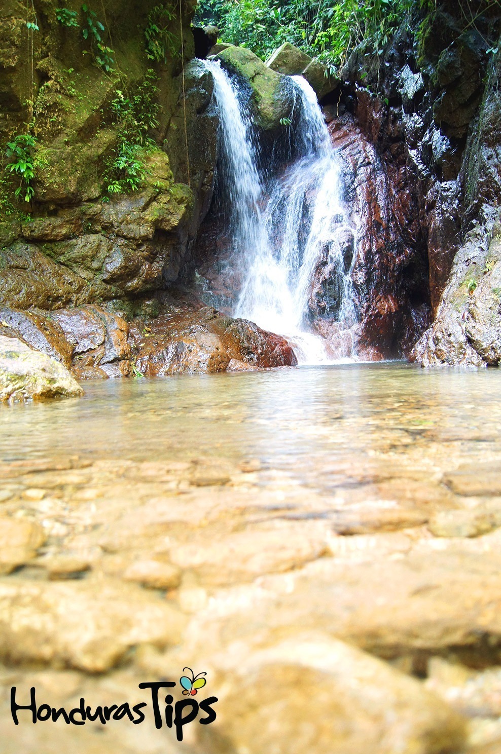 La importancia de cuidar nuestro medio ambiente - Honduras Tips