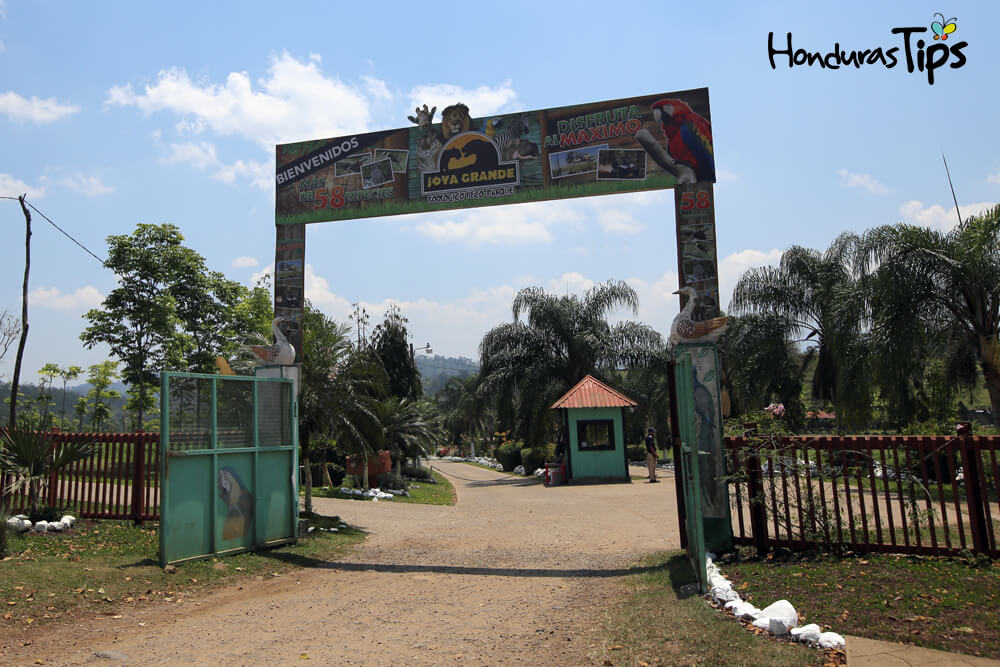 Zoológico y Ecoparque Joya Grande