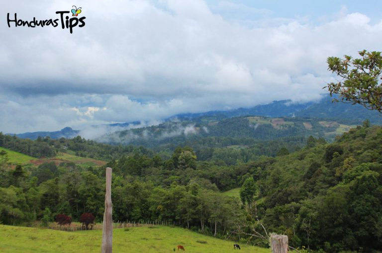 Los hermosos valles de Azacualpa, Intibucá son genuinas obras de arte natural pintadas a la perfección, donde el aire es puro y el único ruido que escuchará será el suyo suspirando.