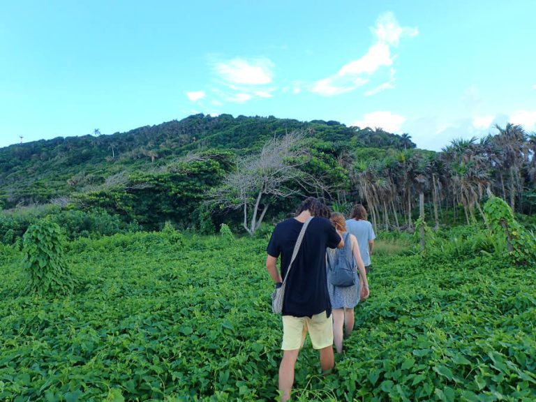 Si eres aventurero podrás echar un vistazo a la isla desde la cima de Pumpkin Hill, el punto más alto de Utila (243 pies)