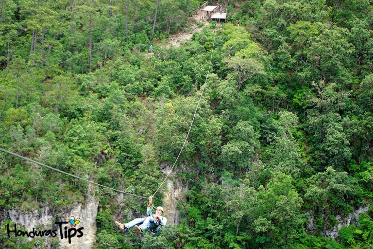 Canopy-La-Campa