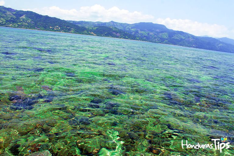 Cayo-Blanco-de-Trujillo