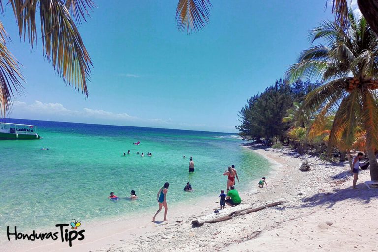 Neptunes-beach-Utila