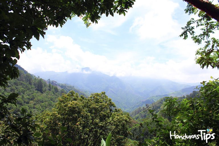 Parque-nacional-Cucuso