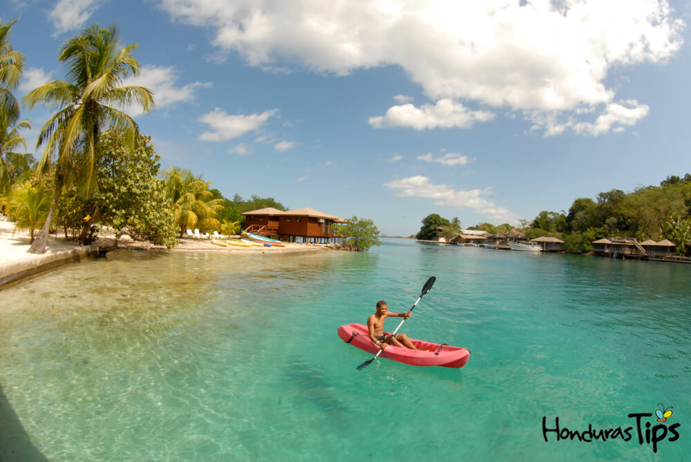 tripadvisor roatan honduras excursions