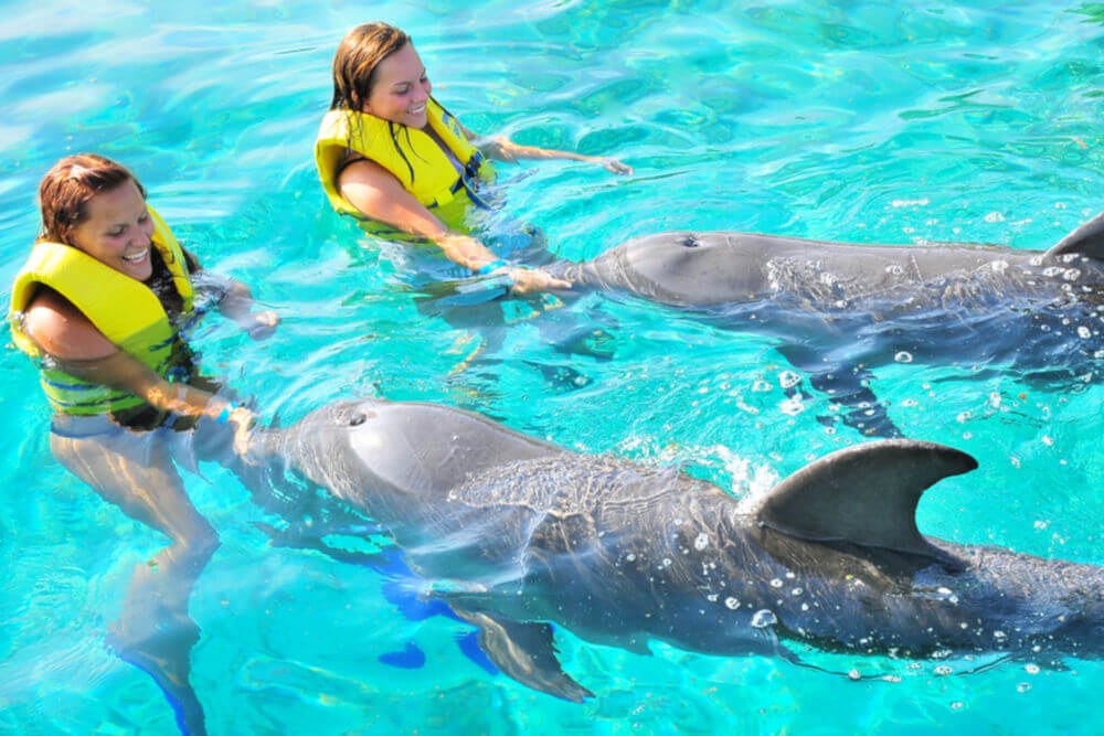 Chicas Delfines 
