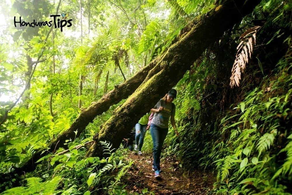 Parques Nacionales De Honduras Ideales Para Practicar Turismo Ecol Gico